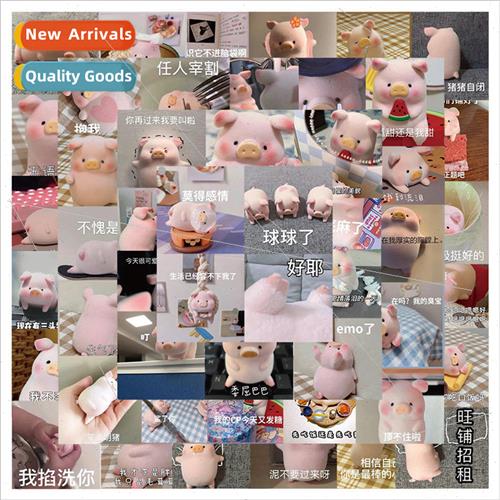50 lulu pig emoji bag doodle stickers luggage notebook guita