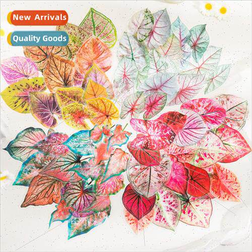 PET sticker pack colorful leaves season series creative simu