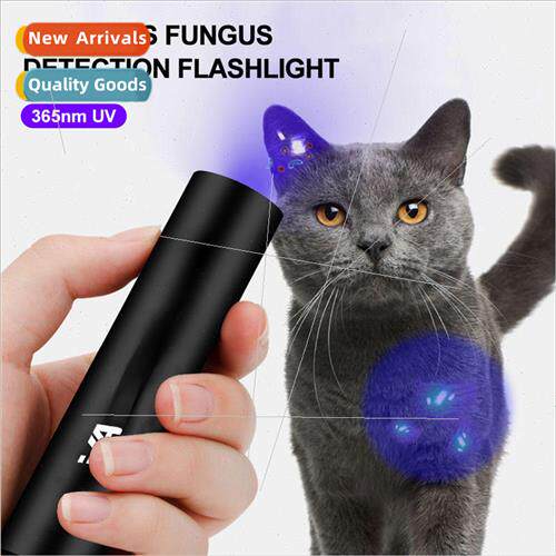 Purple flashlight shine cat urine detection flashlight black