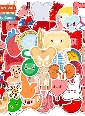 50 cute human organs stickers decoupage learning cartoon hum