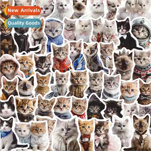 50 cartoon cute animal cat cat graffiti stickers decorative