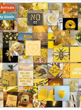 The new 63 yellow lively generous English cute pet eye-catch