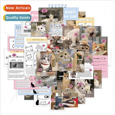 60 ins physical wind kitten graffiti stickers cute decorativ