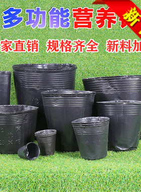 加厚黑色一次性塑料育苗袋大号