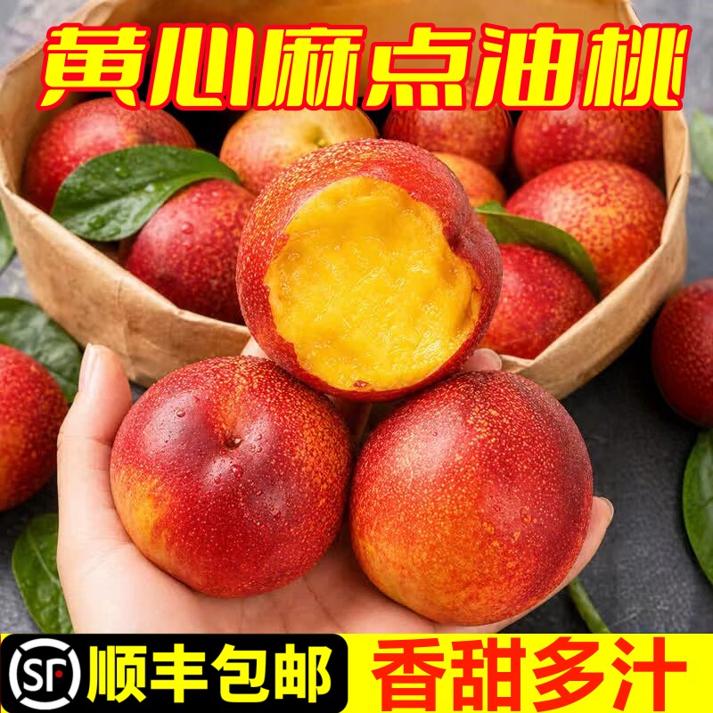 油桃新鲜水果黄心麻点红油桃正宗当季现摘脆甜桃子蒙阴蜜桃现摘
