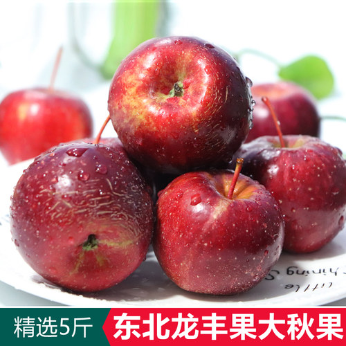【官方力荐】东北龙丰果新鲜