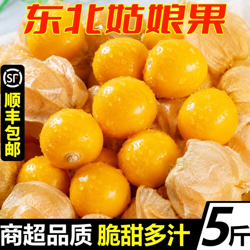【顺丰】姑娘果新鲜东北灯笼果