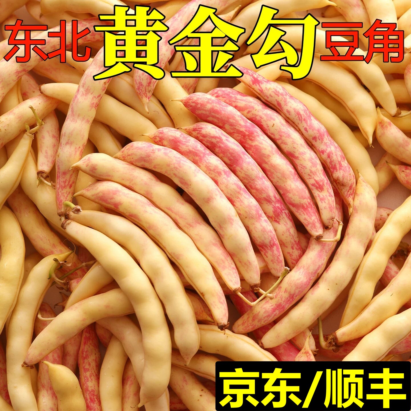 新鲜黄金勾豆角黄金钩豆角红金钩油豆角东北豆角黑龙江八月忙