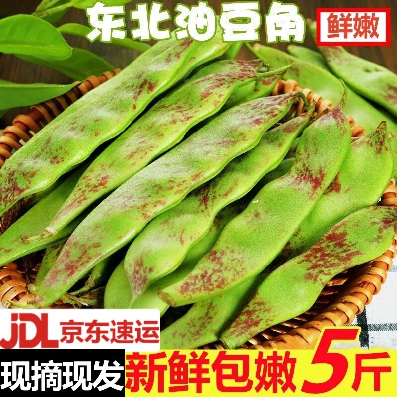 东北油豆角现摘新鲜蔬菜正宗一点红油豆角九月青黑龙江整箱包邮10
