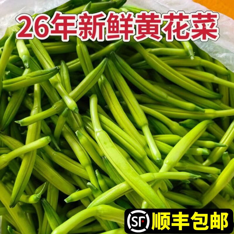 新鲜黄花菜现摘农家野生金针菜农家野菜时令新鲜蔬菜凉拌山东特产