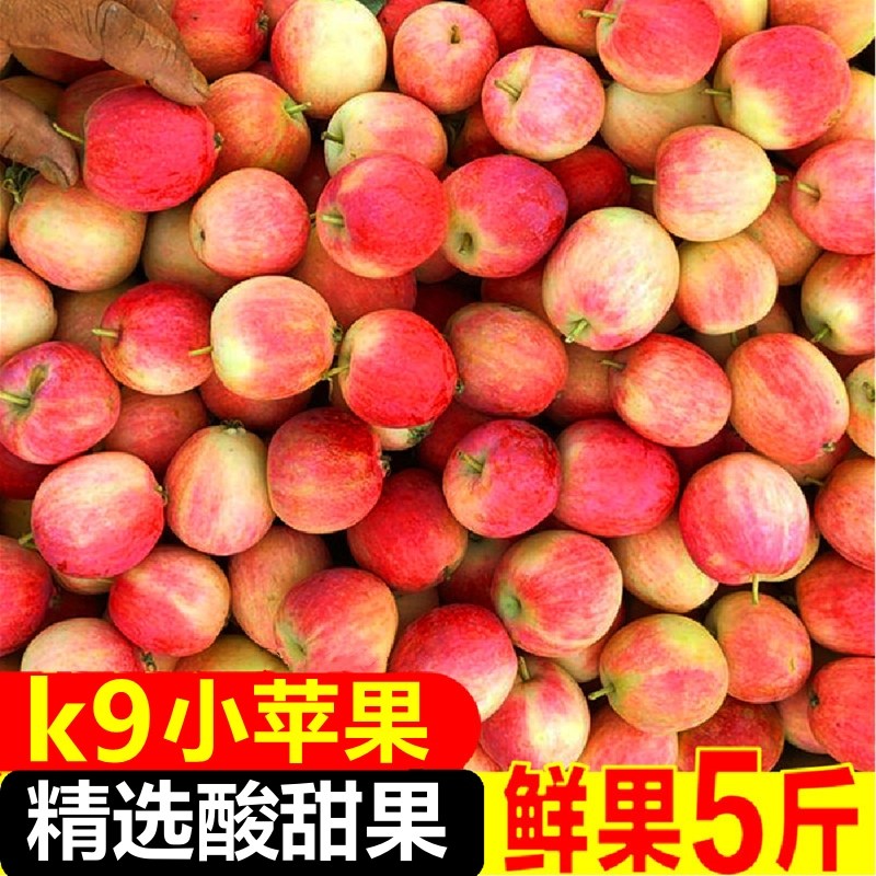 东北沙果k9新鲜现摘现发小沙果新鲜水果糖心小苹果海棠果包邮