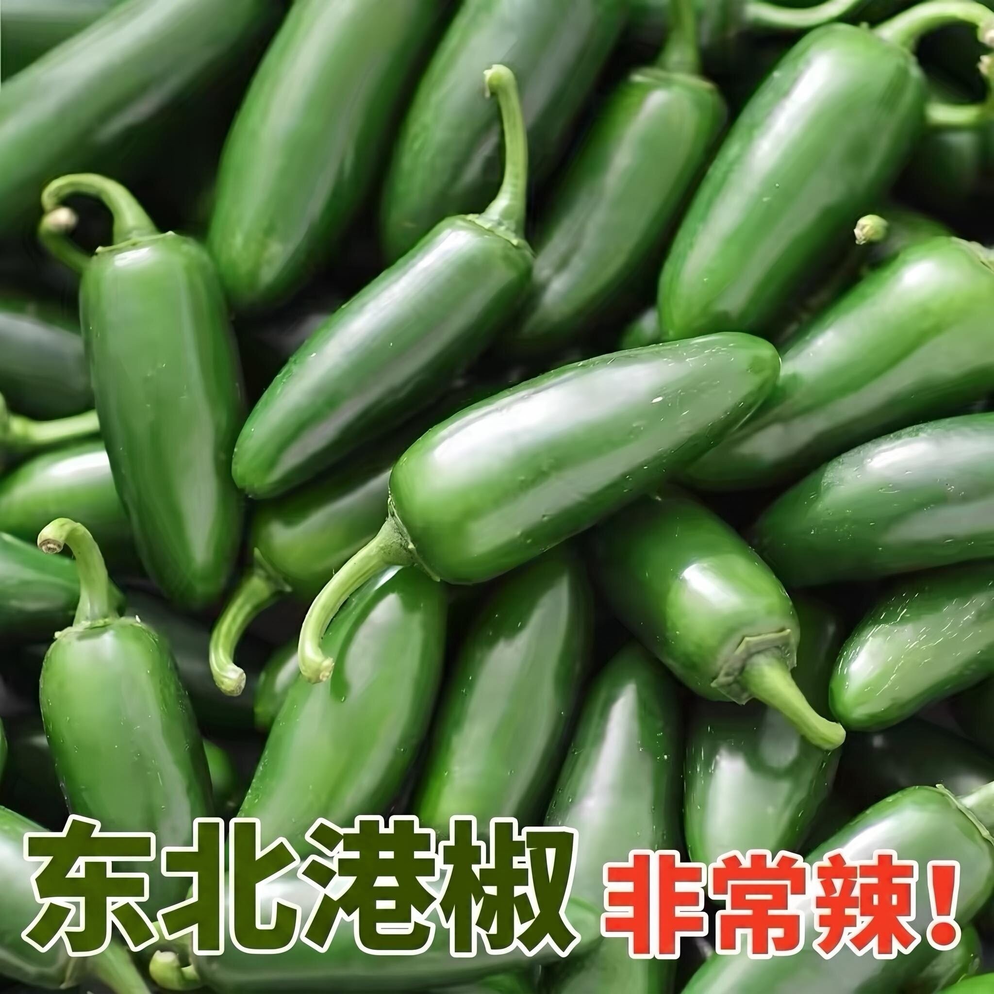 东北新鲜港椒泡椒辣椒墨西哥农家自种皮薄肉厚香辣脆嫩油焖辣椒