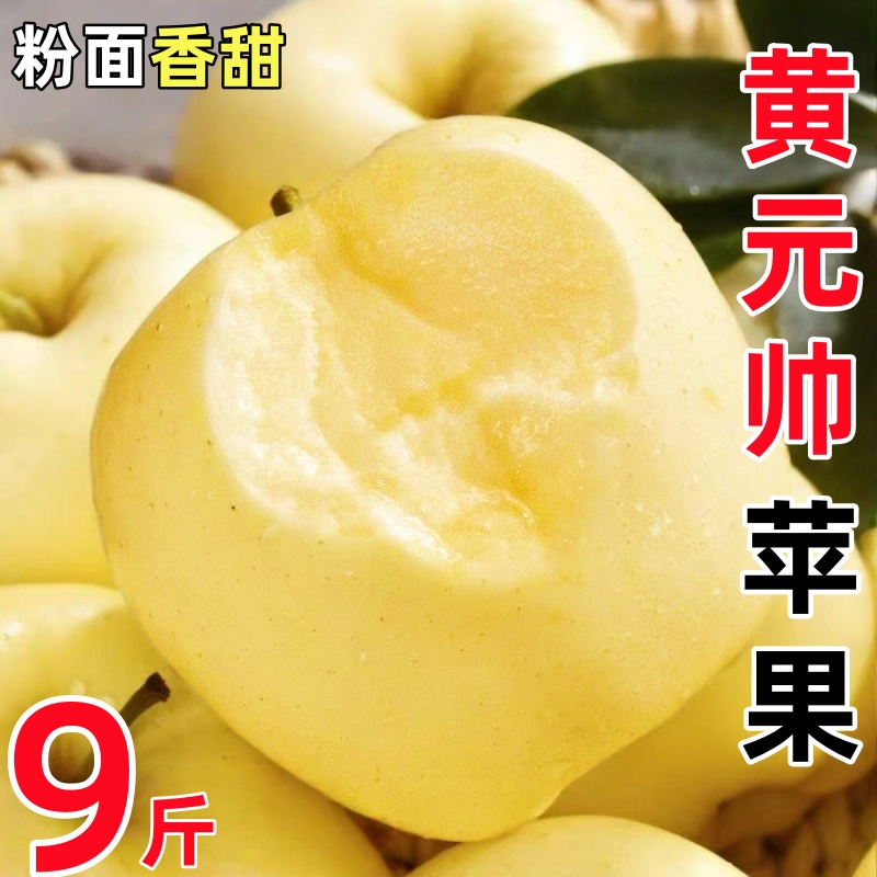 正宗黄元帅苹果东北新鲜水果当季粉面刮泥黄金帅粉面香蕉黄苹果