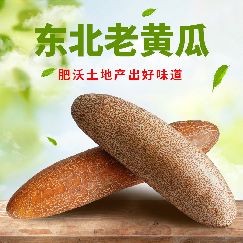 东北老黄瓜新鲜当季蔬菜5斤