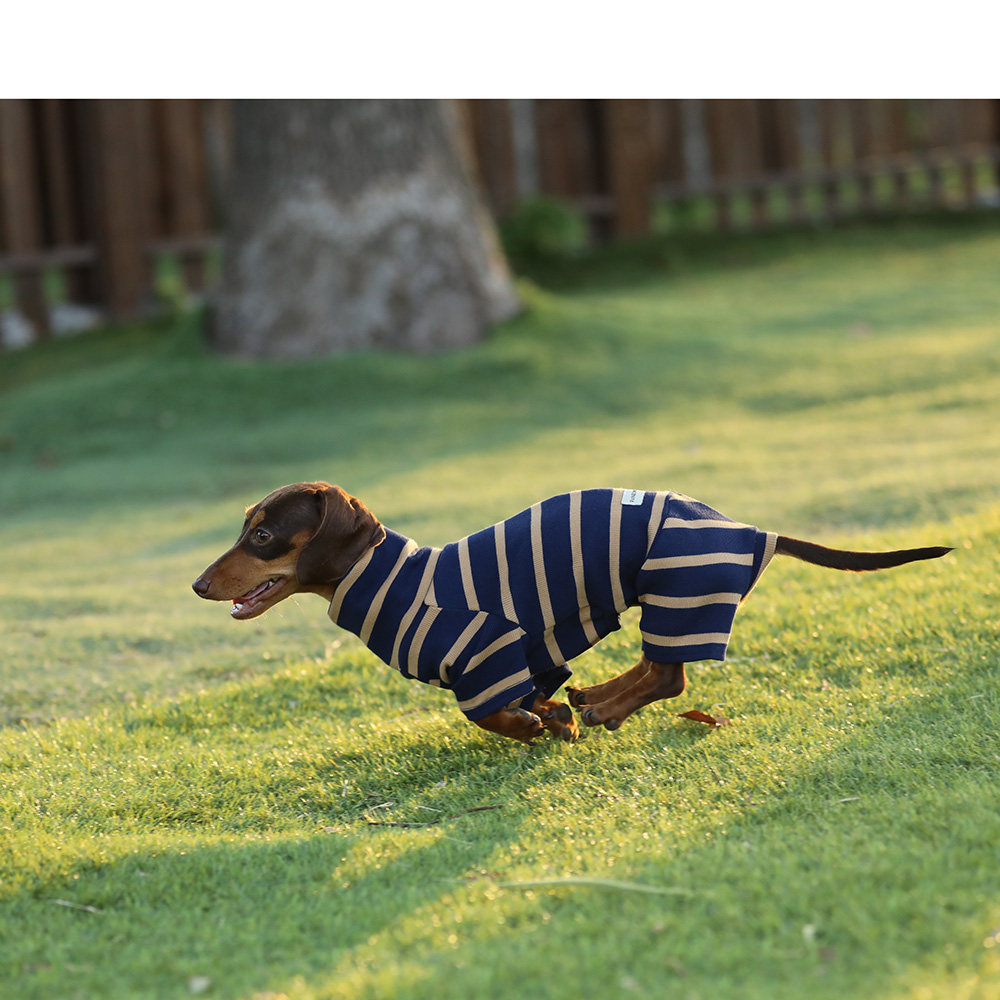 针织条纹弹力四脚宠物狗衣服秋冬