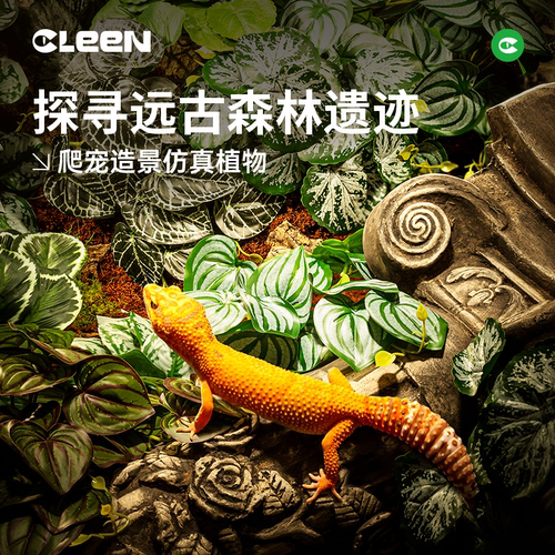 其鳞仿真造景绿植蜥蜴守宫乌龟