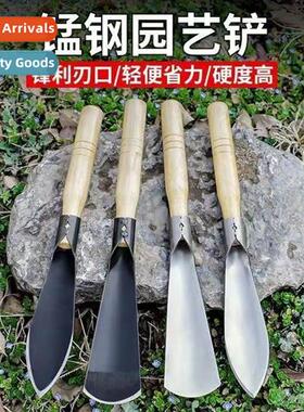 Gardening balcy potted plants to catch  sea succulent artifa