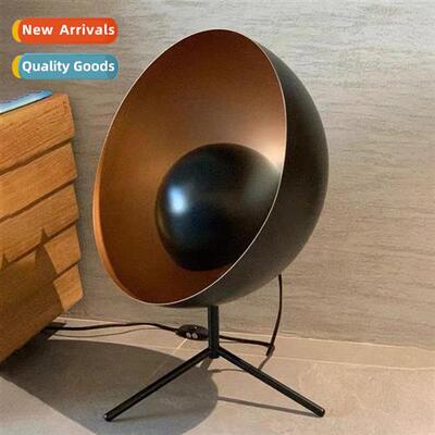 Scinavian Danish BoCcept Design New Satelle Lamp Sample Room