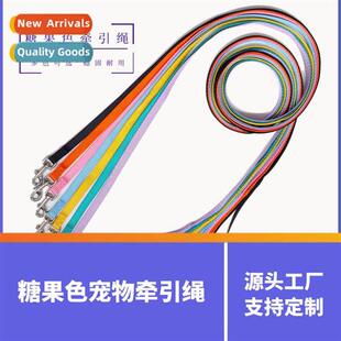 Dog leash polyester colorful dog walking leash to customize