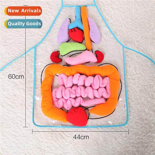 Baby toys cognive human organs early educati teaching aids c