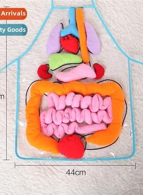 Baby toys cognive human organs early educati teaching aids c