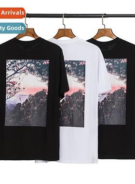 FOG ESSENTIALS New Repeat Forest Cloud Sea Sunset New Floral