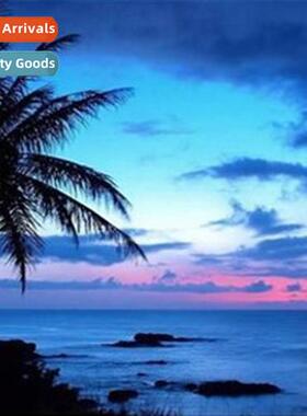 Diamd new DIY cocut e lscape full round diamd hmade point dr