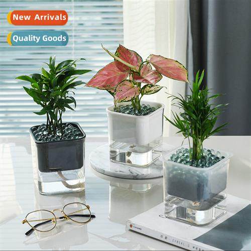 Transparent visible lazy green automatic watering free water
