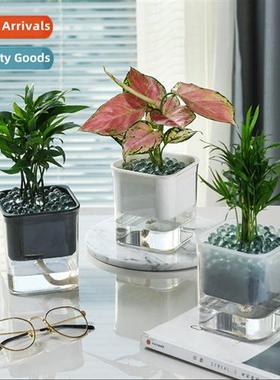 Transparent visible lazy green automatic watering free water