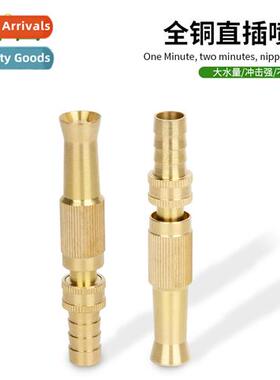 Plug-in copper  spray showerhead car wash water gun head noz