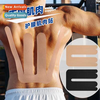 Breathable pre-scored sports waist protecti muscle effect pa