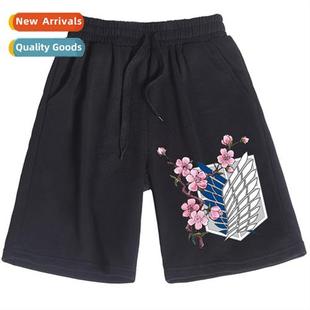 Attack Giants secd 2022 anime new yuan surrounding summer