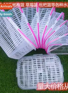 Plastic fru picking basket portable wh lid prune basket squa