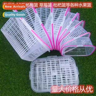 Plastic fru picking basket portable wh lid prune basket squa