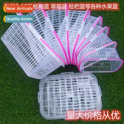 Plastic fru picking basket portable wh lid prune basket squa