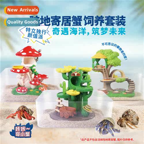 Beginner herm crab feeding set reptile pet aquascape display