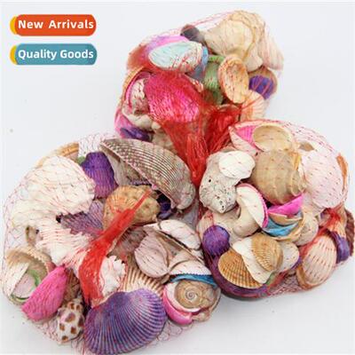 Creative Gifts Mesh Bag Seashells Childrens Beach Toys Shoot