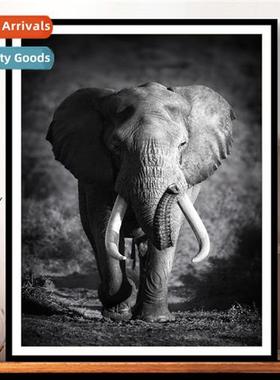 Precisi Printing Cross Stch 2023 New Thread Embroidery Moder