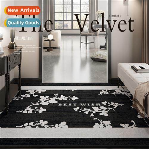 Entry door floor mat door mat household dirt-resistant washa
