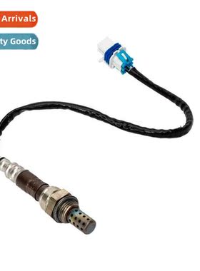 Oxygen sensor oxygen sensor 253333812 234-4407 2344256 12609