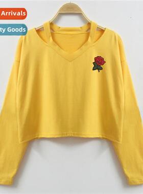 AA style V-neck rose embroidery short secti lg-sleeved T-shi