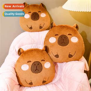 nap cover pillow was carto plop Kapi fice Bara