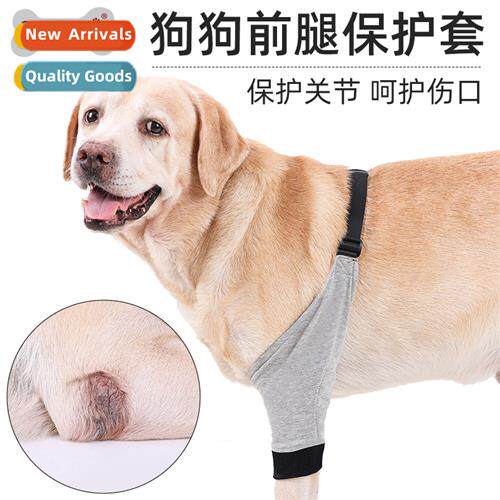 Frt leg pet protector cott fall  winter joints warm dog leg
