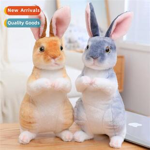 2023 Lunar    Rabb Mascot Rabb Plush Toy Doll Gift for Kids