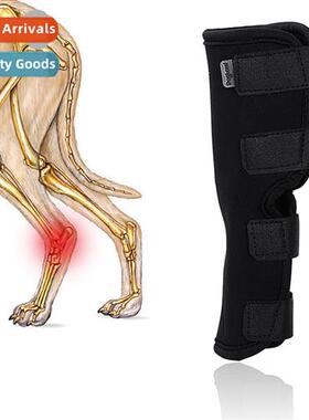 Dog Leg Wraps Pet Leg Injury Anti-Licking Joint Fixati Recov