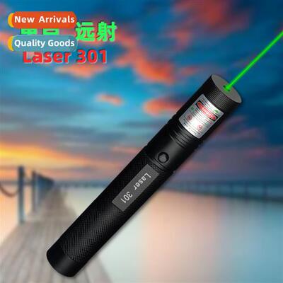 301 green single-point remote laser flashlight whip pen  las
