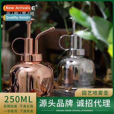 Gardening stainless steel watering can spray pot indoor vint