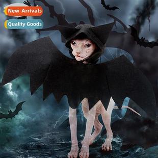 Wings Kten Black Halloween Set Bat Cool Pet