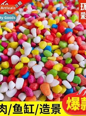 Natural small colored ste fish tank special paving sand succ