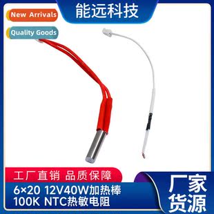 2PIN 12V40W rmistor terminal PH2.0 length wire NTC 100K